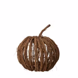 Græskar i natur lille
