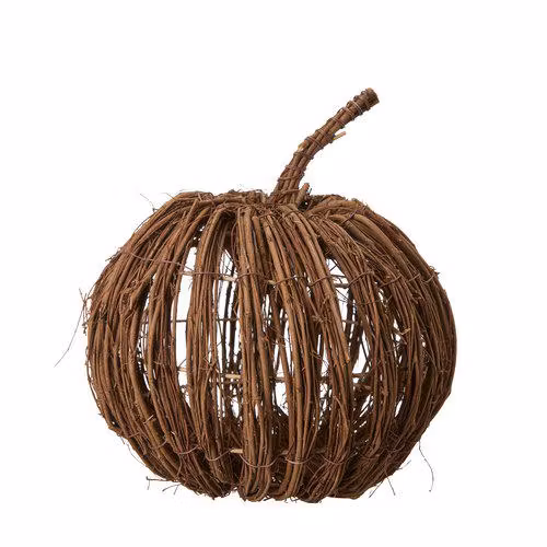 Græskar i natur Stor