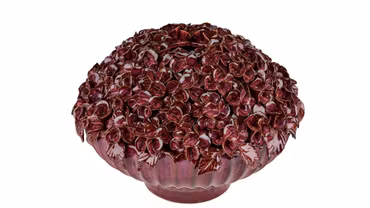Edelweiss Bordeaux (SENDES IKKE)