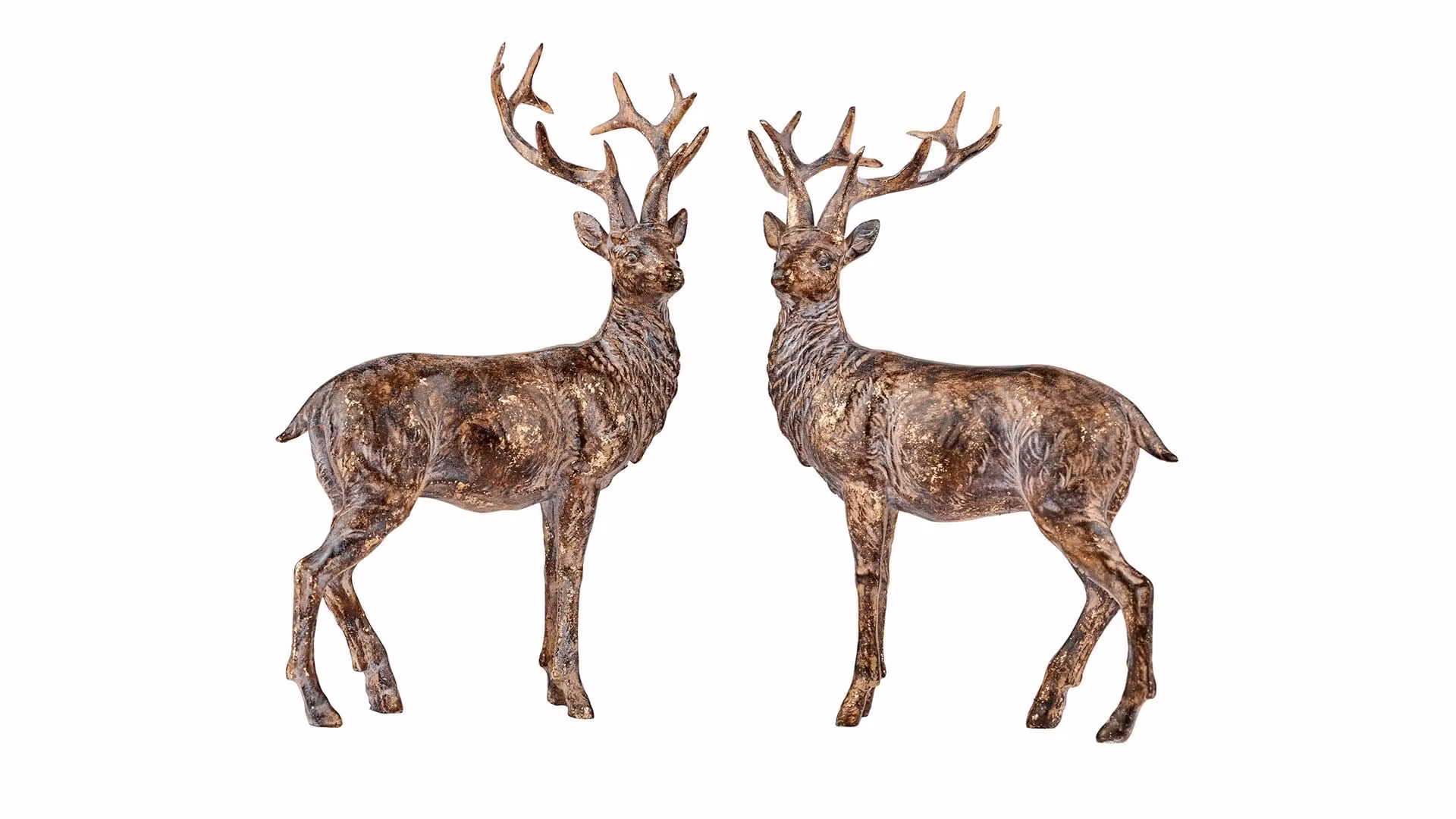 Deer standing Anik brun