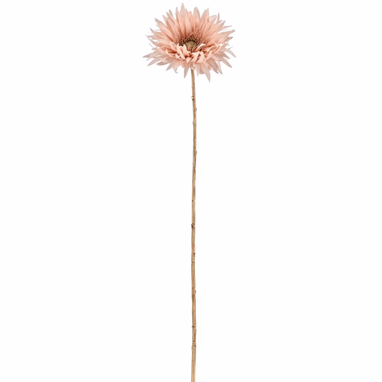 Jule Gerbera Rosa m/guld