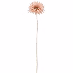 Jule Gerbera Rosa m/guld