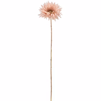 Jule Gerbera Rosa m/guld