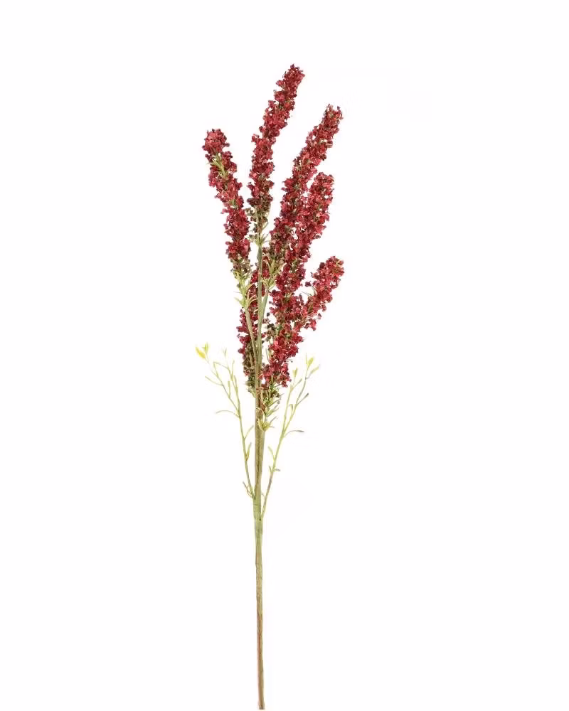 Gren med røde blomster