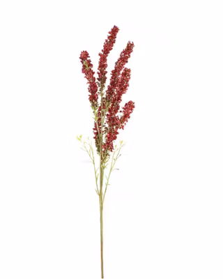 Gren med røde blomster