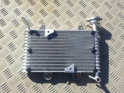 Kylare Bashan s7/Badboy 200-250
