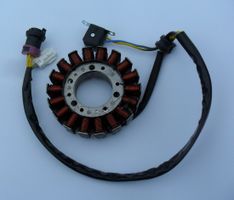 Tändplatta/Stator 300 Linhai,Buyang (lilla)