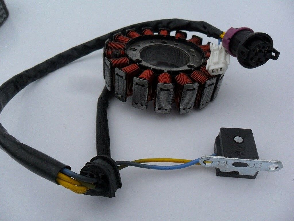 Tändplatta/Stator 300 Linhai,Buyang (lilla)