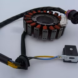 Tändplatta/Stator 300 Linhai,Buyang (lilla)