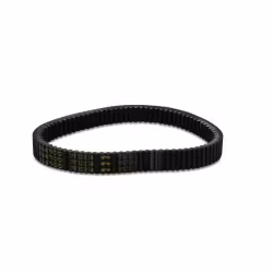 Drivrem DAYCO XTX2234