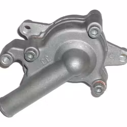 Vattenpump Buyang/Linhai 260,300,400