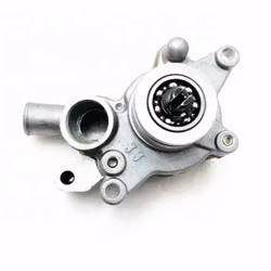 Vattenpump Buyang/Linhai 260,300,400