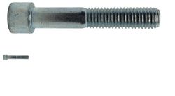 Insexbult M8X60