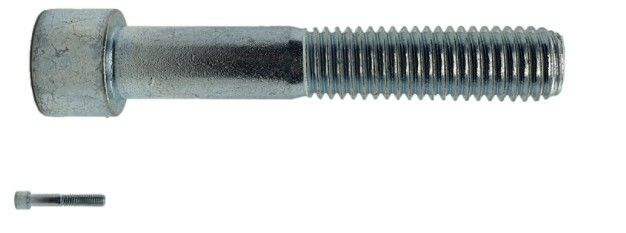 Bult M10X65