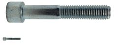 Bult M10X80