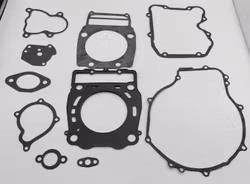 Packningssats Motor Kazuma,Viarelli,Xinyang 500