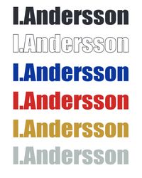 Namndekal för folkrace/rallybil