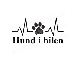 Bildekal - Hund i bilen