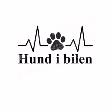 Bildekal - Hund i bilen