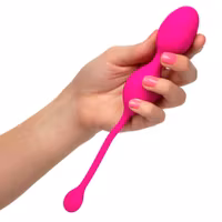 Remote Control Dual Motor Kegel System