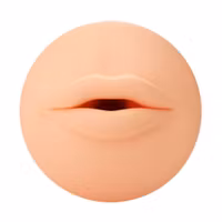 Autoblow 2 Masturbator Mouth Sleeve C