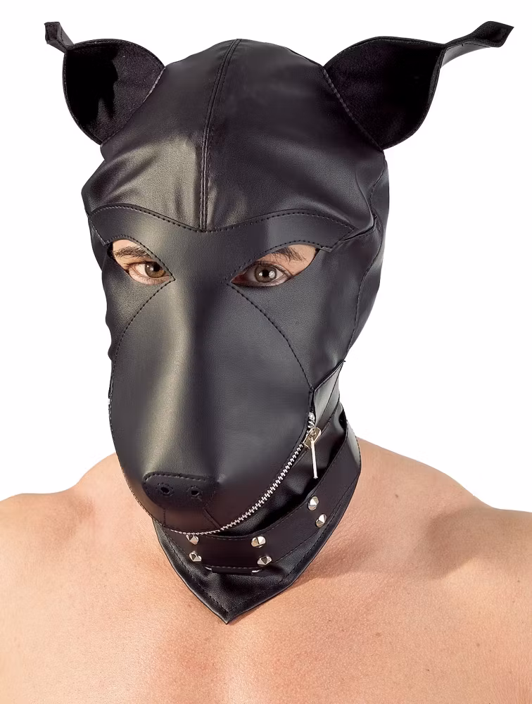 Dog Mask