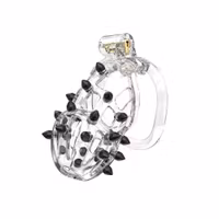 Rimba P-Cage PC09 Medium Transparent