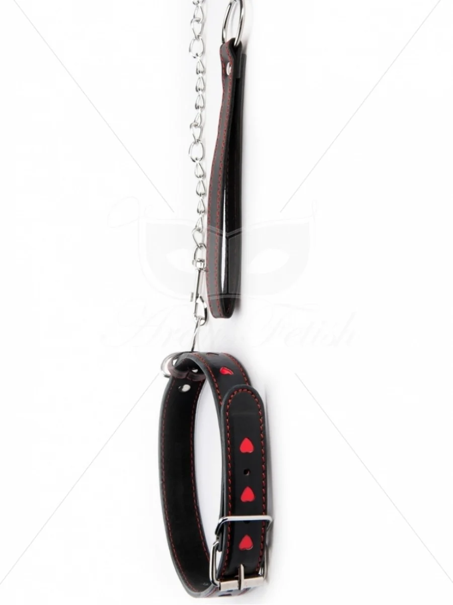 Argus Heart Collar with Leash