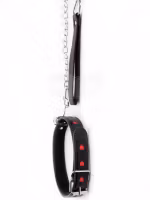 Argus Heart Collar with Leash
