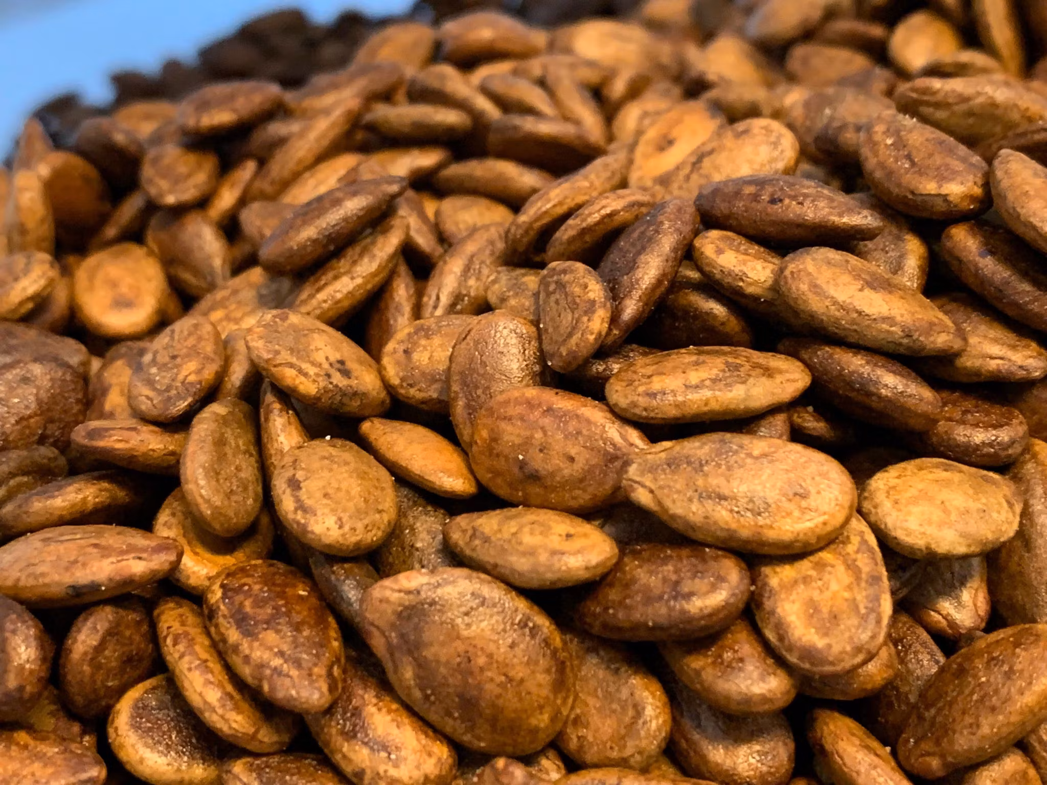 Saltet Vannmelon frø - Brouwn 1000g
