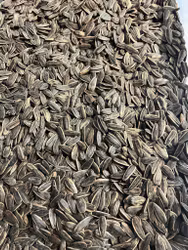 Saltet Solsikkefrø 1000g