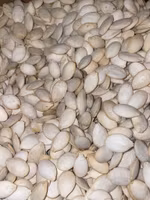 Saltet Gresskarfrø 1kg بزر قرع