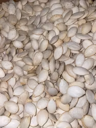 Saltet Gresskarfrø 1kg بزر قرع