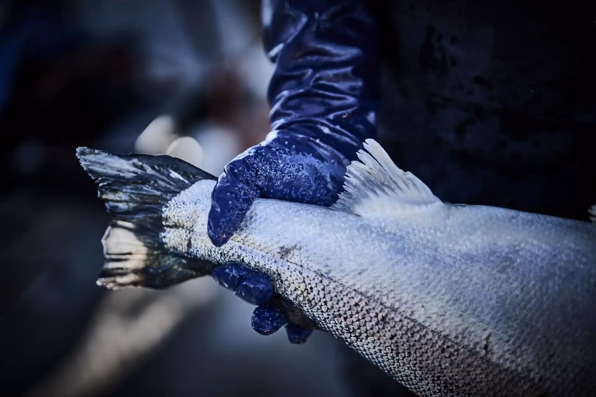 Fiskehansker med kjemikaliemotstand - Granberg 8200