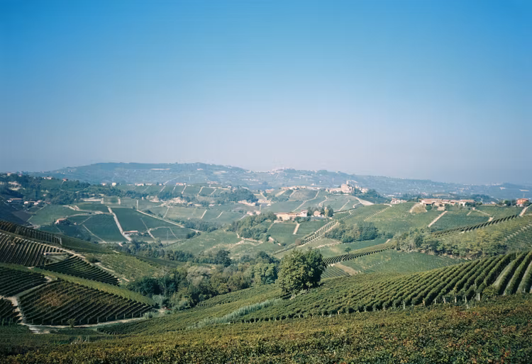 Bli fatägare 2025 - Nebbiolo från Barolo