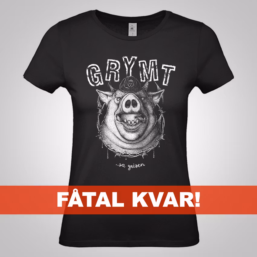 DAM – Grymt sa grisen