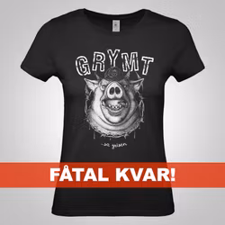 DAM – Grymt sa grisen