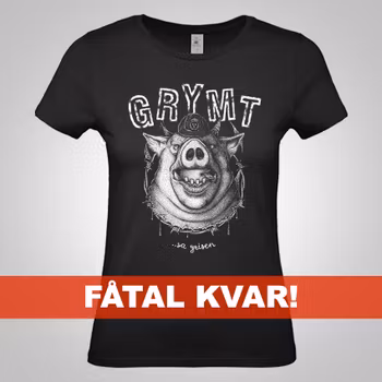 DAM – Grymt sa grisen