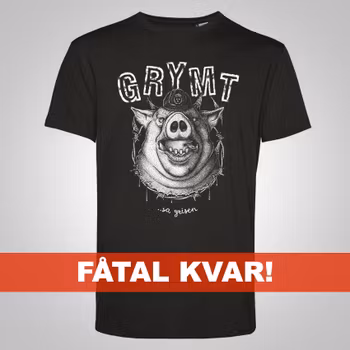 HERR – Grymt sa grisen