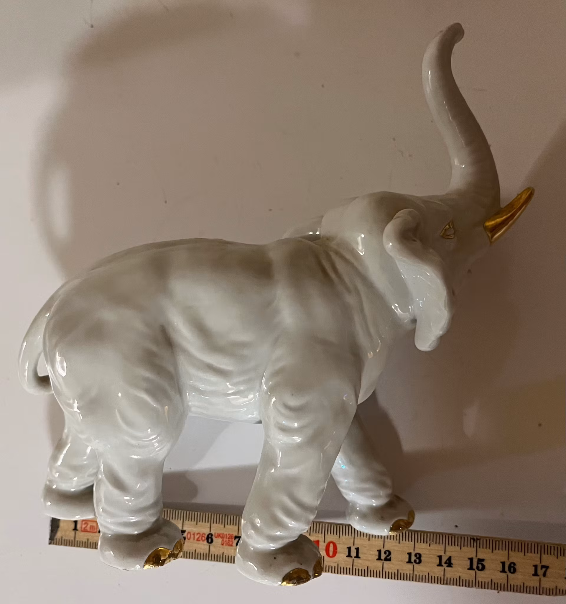 Elefant