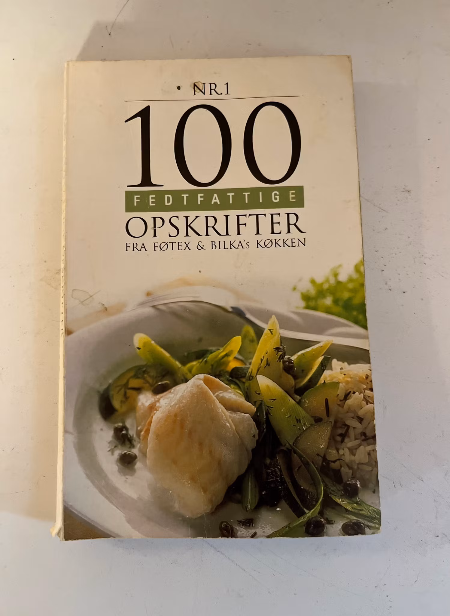 Bog - 100 fedtfattige opskrifter