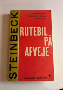 Bog - Rutebil på afveje
