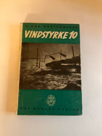 Vindstyrke 10 af A. Chr. Westergaard – “hav i håret”
