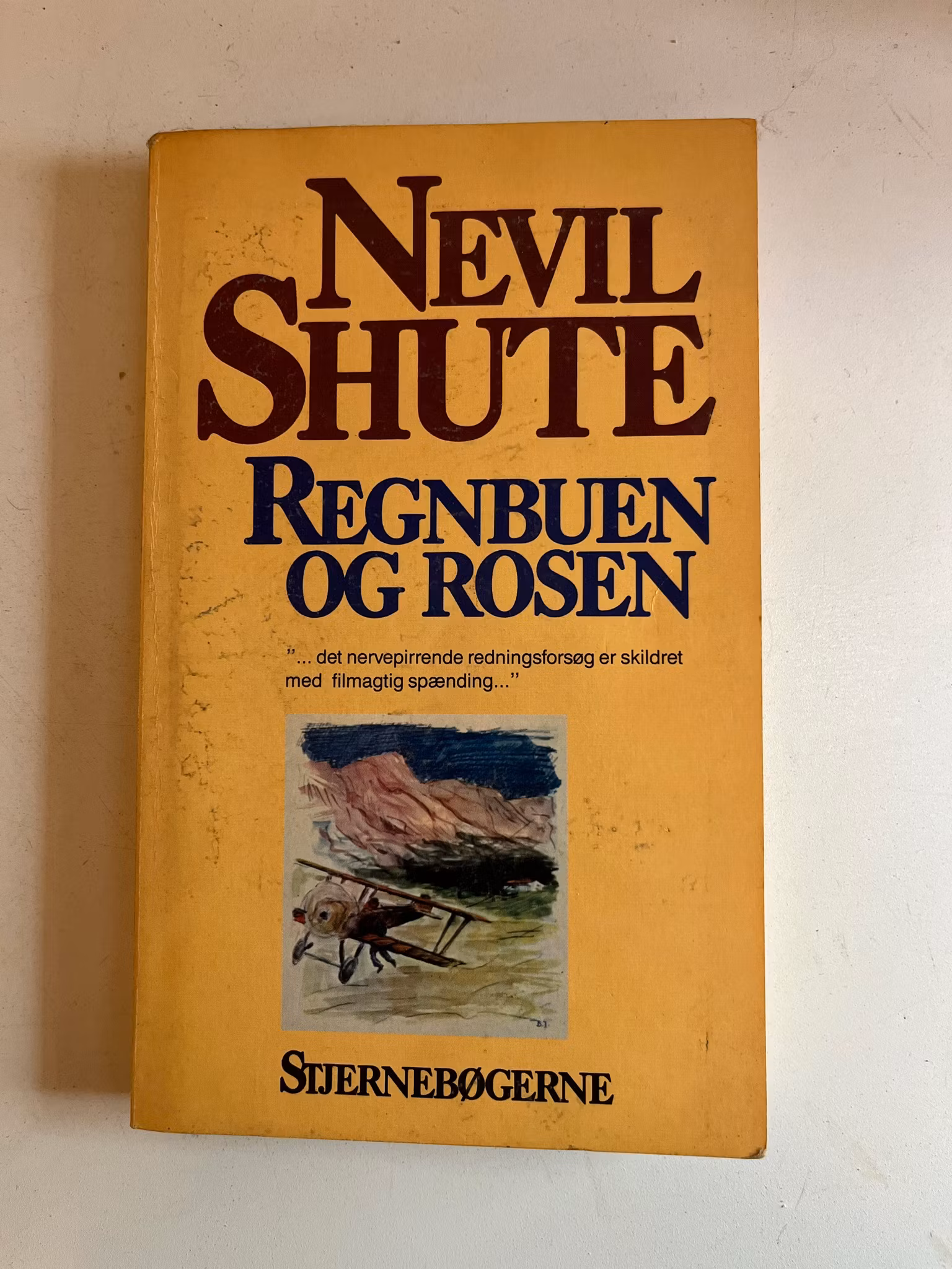 Regnbuen og rosen