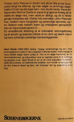 Regnbuen og rosen