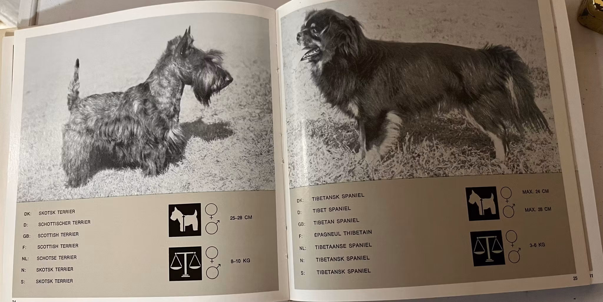 Bog - Liber Canis