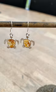 TurtleAmber