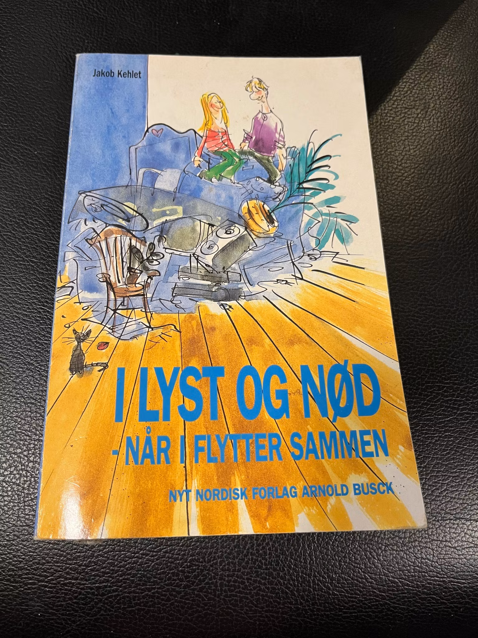I lyst og nød - Når i flytter sammen