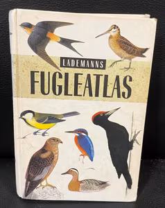 Fugleatlas