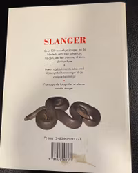 Slanger